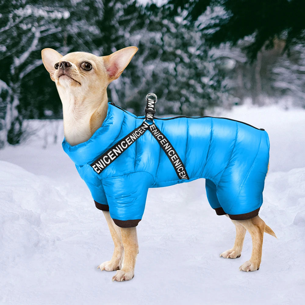 Nablit Joe pet winter accessories - quality dog jacket for cold weather
