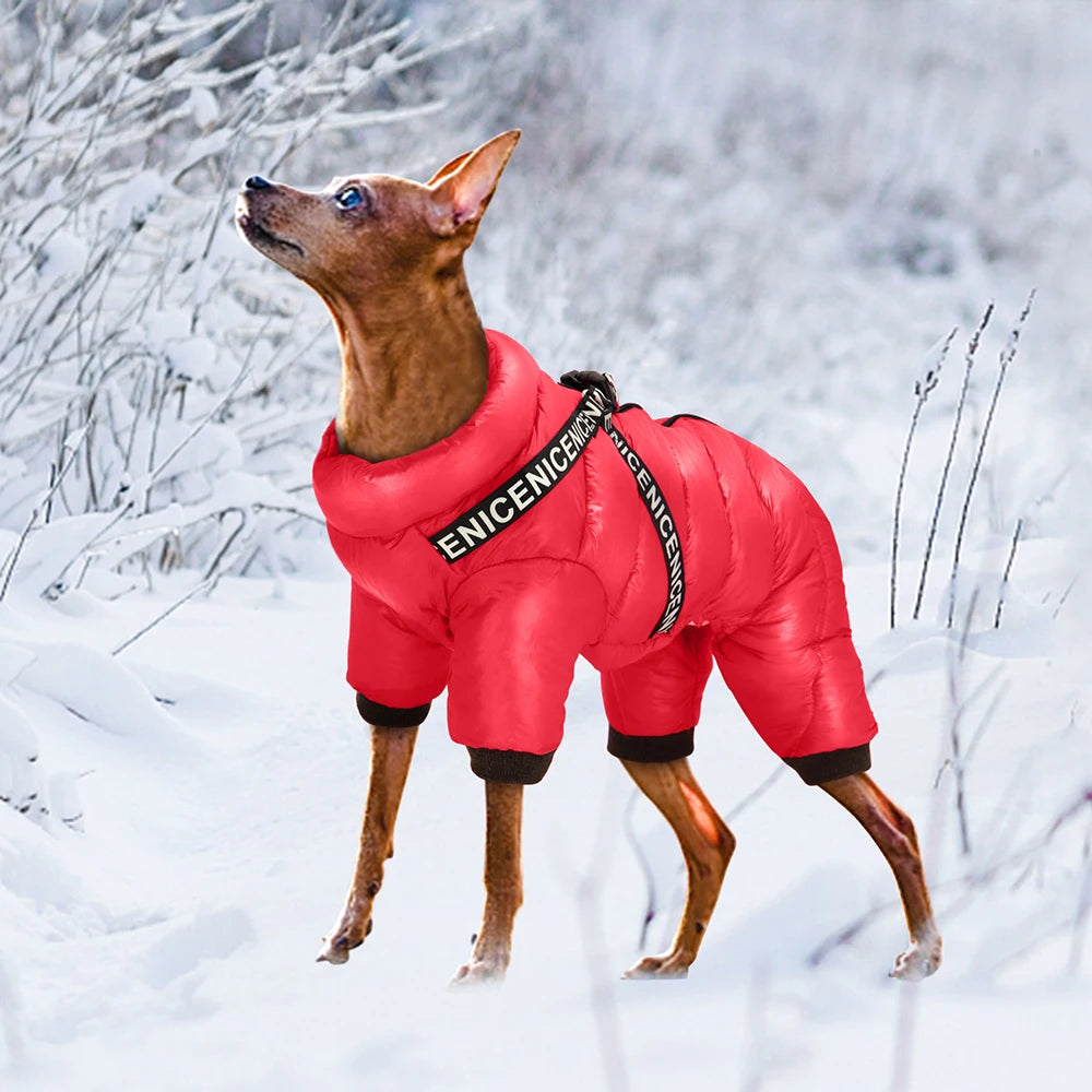 Nablit Joe pet winter accessories - quality dog jacket for cold weather
