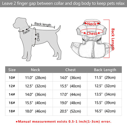 Winter dog clothes size chart - find perfect fit for your pet