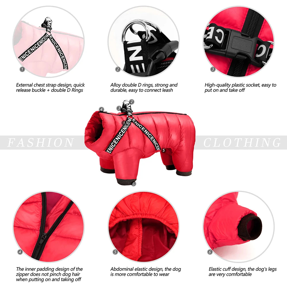 Waterproof dog coat with harness - back view showing D-ring
