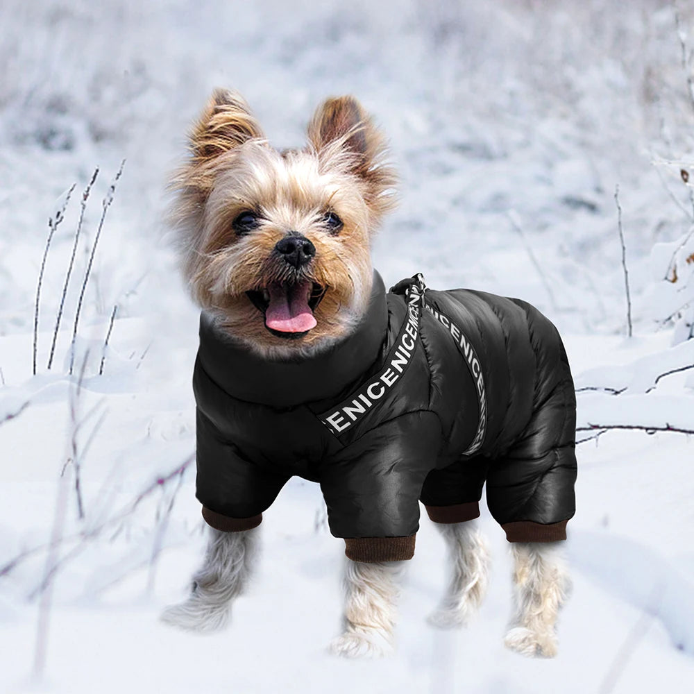 Nablit Joe pet winter accessories - quality dog jacket for cold weather
