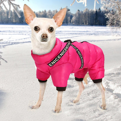Nablit Joe pet winter accessories - quality dog jacket for cold weather
