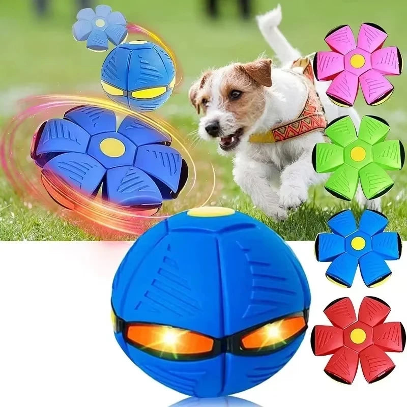 Flying saucer ball transforming from ball to disc - pet toy