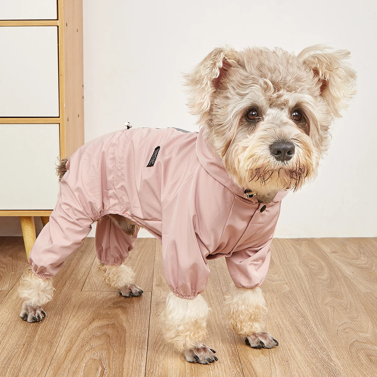 Dog Raincoat - Size Chart for French Bulldogs and Chihuahuas
