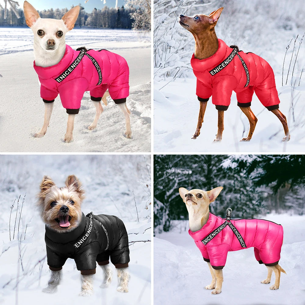 Dog winter coat with adjustable straps - secure fit for small dogs
