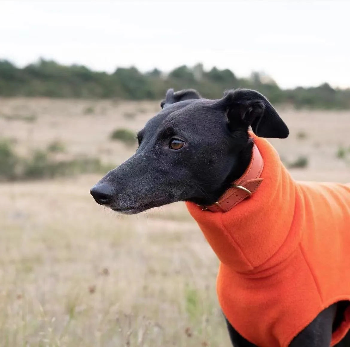 dog winter vest fleece