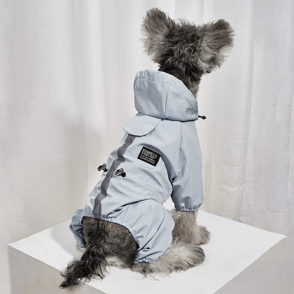 Waterproof Dog Coat - Blue on Chihuahua
