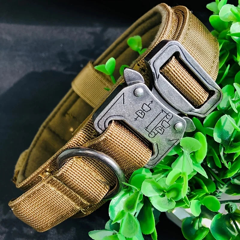 Tactical Dog Collar - Khaki Color on Working Dog

