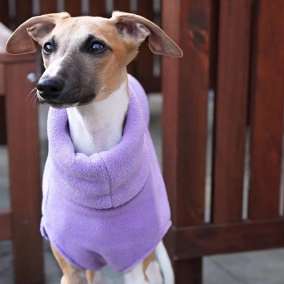 warm winter coat for whippets