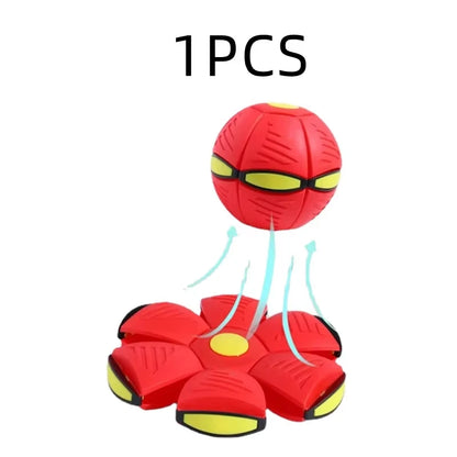 Kids and pets playing with flying saucer