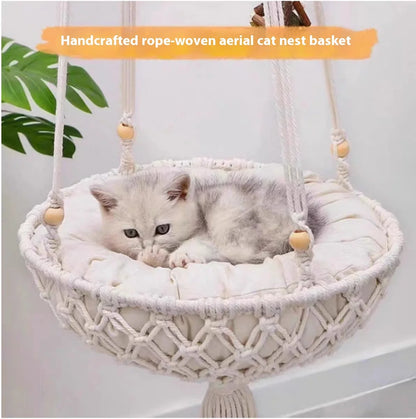 Cat enjoying elevated window seat - basket swing