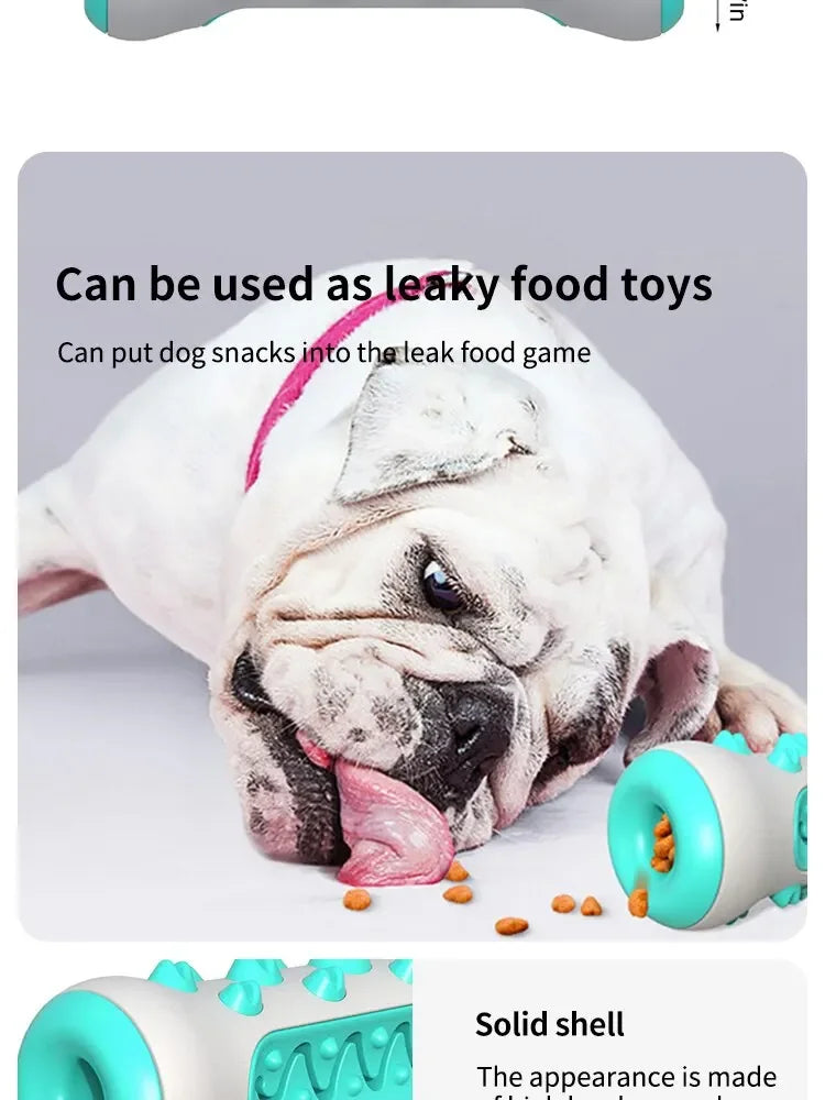 Dog Dental Chew Toy - Teeth Cleaning Bone Toothbrush