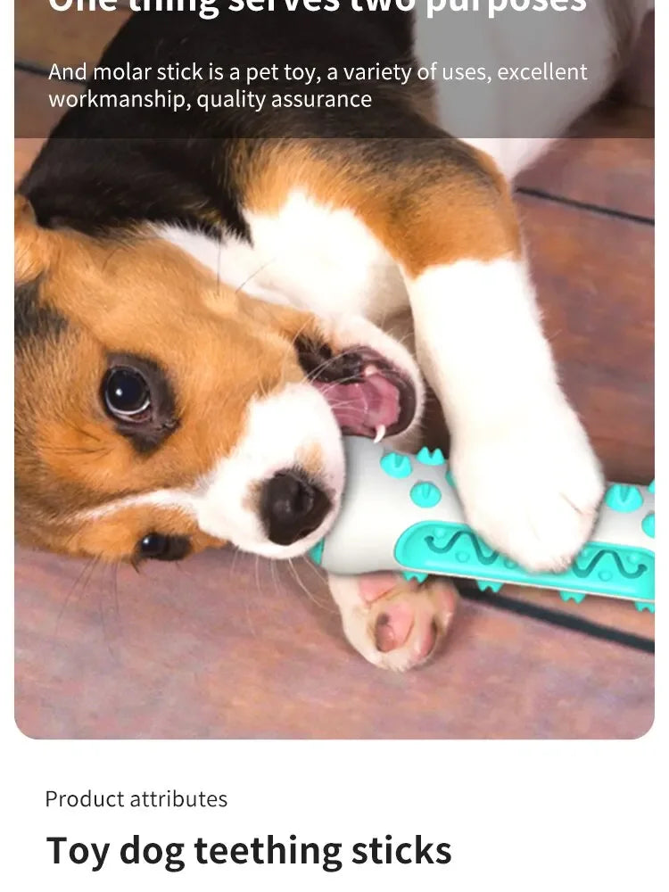 Dog Dental Chew Toy - Teeth Cleaning Bone Toothbrush