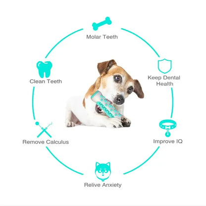 Dog Dental Chew Toy - Teeth Cleaning Bone Toothbrush