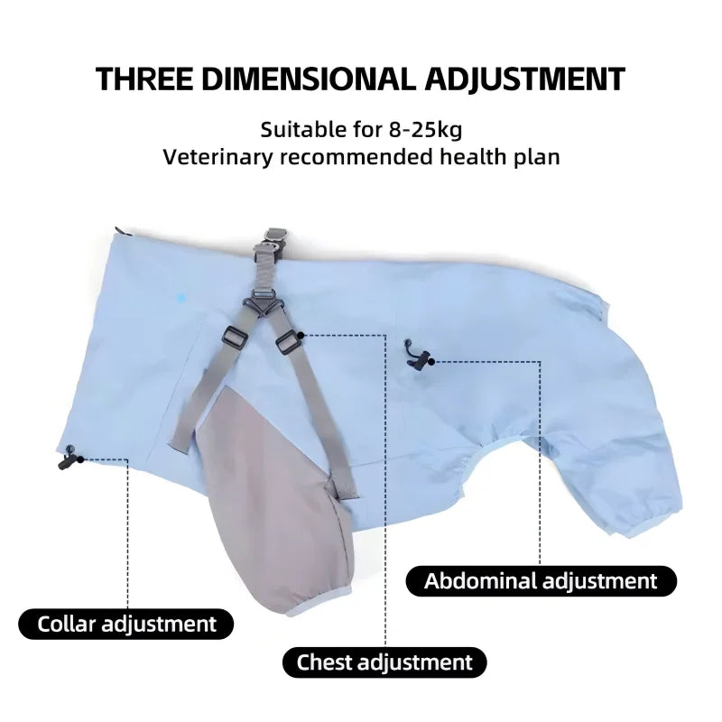 Dog Raincoat - Size Chart and Measurements
