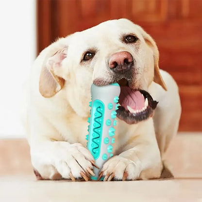 Dog Dental Chew Toy - Teeth Cleaning Bone Toothbrush