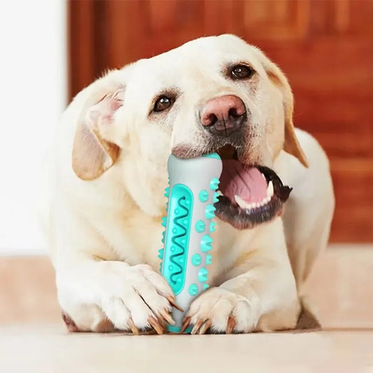 Dog Dental Chew Toy - Teeth Cleaning Bone Toothbrush