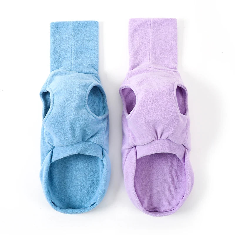 italian greyhound cold weather clothes