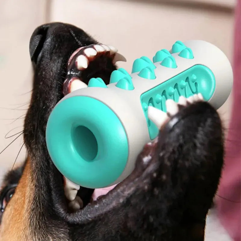Dog Dental Chew Toy - Teeth Cleaning Bone Toothbrush