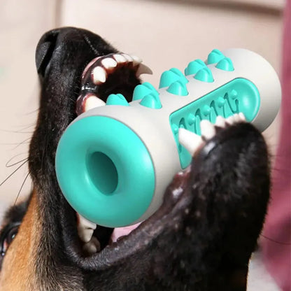 Dog Dental Chew Toy - Teeth Cleaning Bone Toothbrush