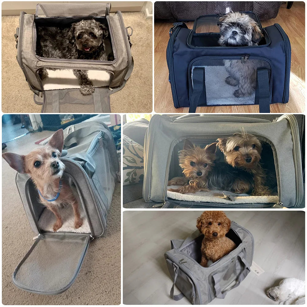Pet carrier size comparison - M and L sizes for different pet weights