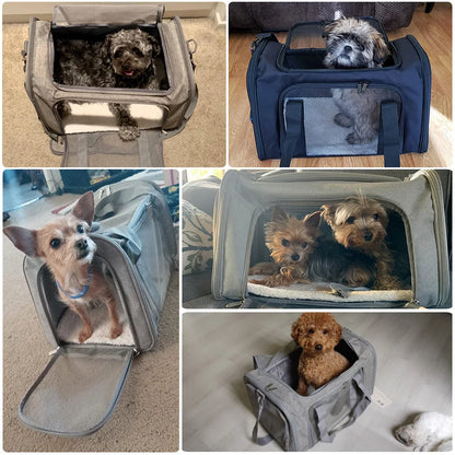Pet carrier size comparison - M and L sizes for different pet weights