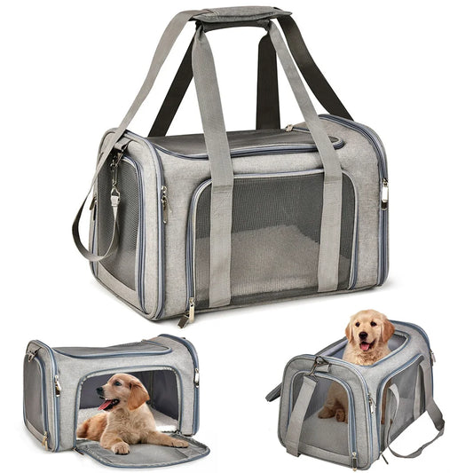 Airline-approved pet carrier backpack for small dogs and cats - soft-sided travel bag